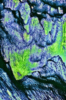 A 14G